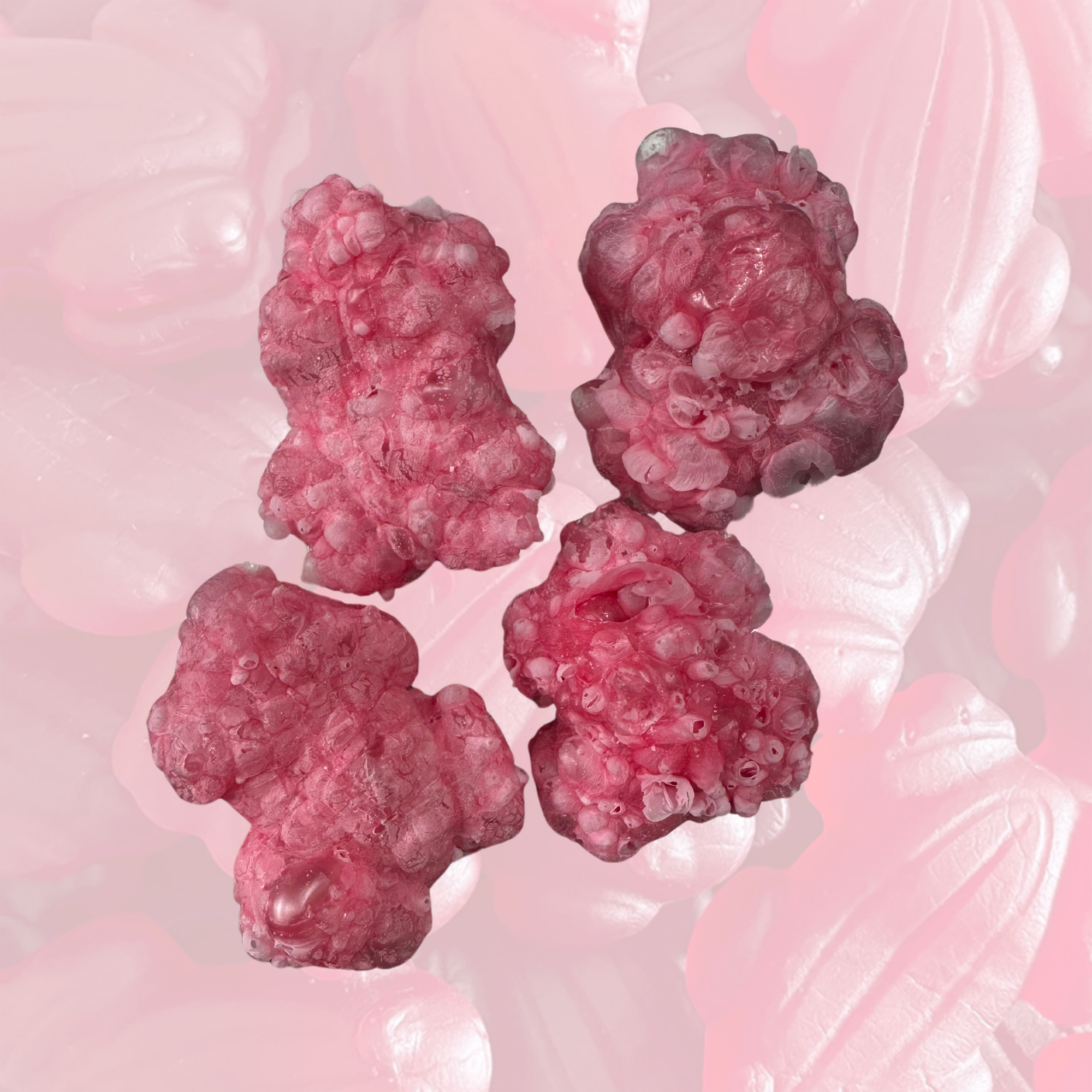 Freeze Dried Red Frogs