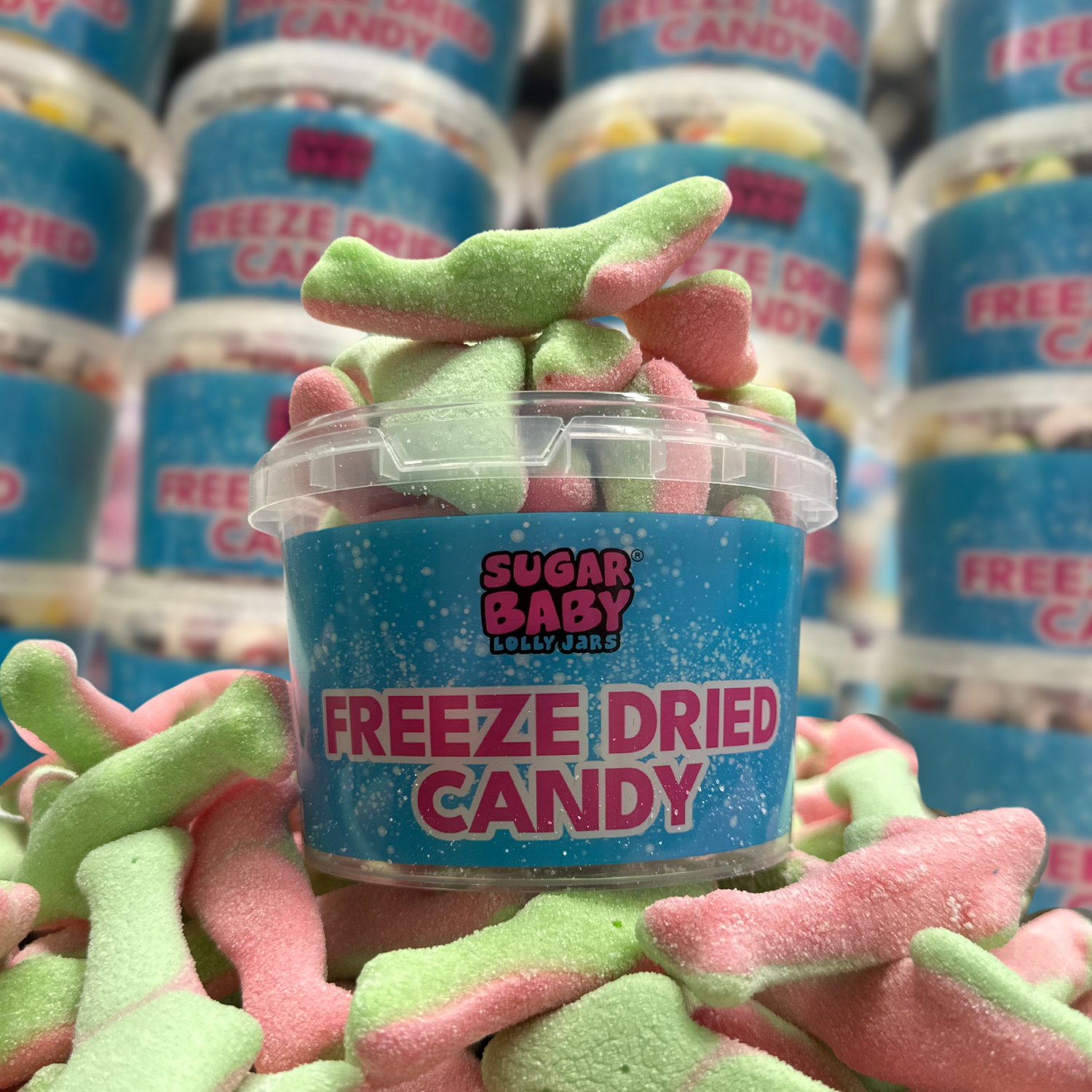 Freeze Dried Watermelon Sharks